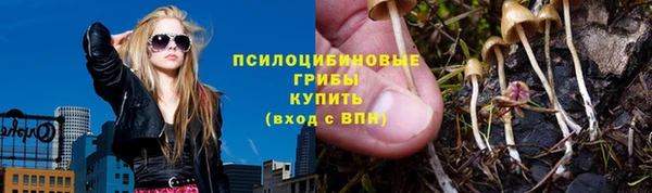 дживик Зерноград