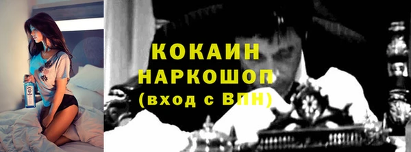 шишки Зеленокумск