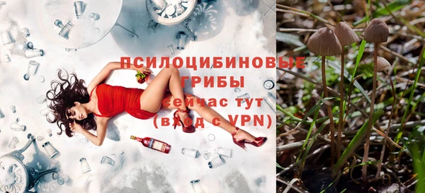 прущая мука Зеленодольск