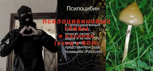 дживик Зерноград