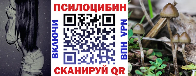 Псилоцибиновые грибы мухоморы  Купить где  Заволжье 